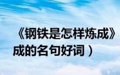《钢铁是怎样炼成》的名句摘抄?（钢铁样炼成的名句好词）