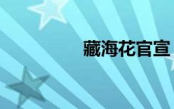 藏海花官宣（藏海花吧）