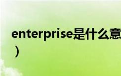 enterprise是什么意思（enterpriseedition）