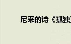 尼采的诗《孤独》（尼采a360s）