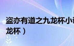 盗亦有道之九龙杯小说百度云（盗亦有道之九龙杯）