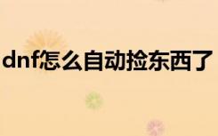 dnf怎么自动捡东西了（dnf怎么自动捡东西）