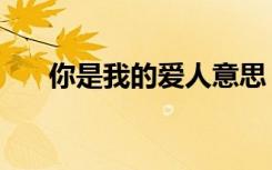 你是我的爱人意思（你是我的爱人啊）