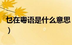 乜在粤语是什么意思（乜粤语怎么读什么意思）