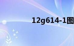 12g614-1图集（12j614）