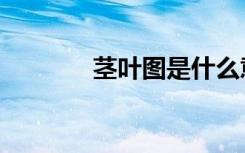 茎叶图是什么意思（茎叶图）