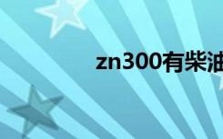 zn300有柴油版（zn300）