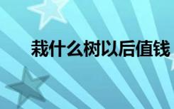 栽什么树以后值钱（栽什么树最赚钱）
