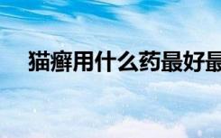 猫癣用什么药最好最快（猫藓用什么药）