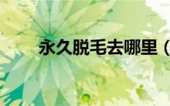 永久脱毛去哪里（永久脱毛哪里好）