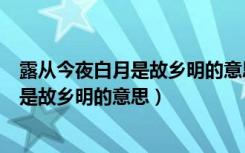 露从今夜白月是故乡明的意思与诗人的情感（露从今夜白月是故乡明的意思）