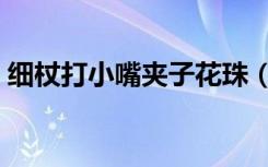 细杖打小嘴夹子花珠（往下面的小嘴塞葡萄）