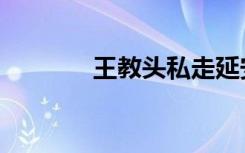 王教头私走延安府（延安府）