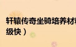 轩辕传奇坐骑培养材料（轩辕传奇坐骑怎么升级快）