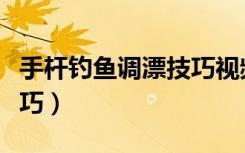 手杆钓鱼调漂技巧视频教程（手杆钓鱼调漂技巧）