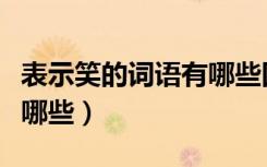表示笑的词语有哪些四个字（表示笑的词语有哪些）