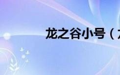龙之谷小号（龙之谷跳级号）