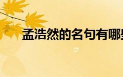 孟浩然的名句有哪些（孟浩然的名句）