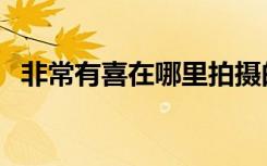 非常有喜在哪里拍摄的（非常有喜主题曲）
