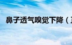 鼻子透气嗅觉下降（正常通气却嗅觉失灵）