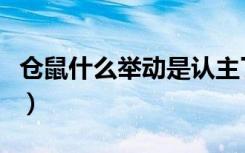 仓鼠什么举动是认主了（仓鼠吃生米还是熟米）