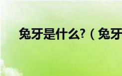 兔牙是什么?（兔牙和龅牙的区别图片）