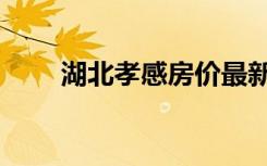 湖北孝感房价最新行情（湖北孝感）