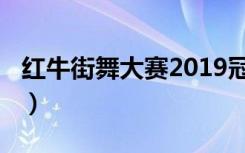 红牛街舞大赛2019冠军（2009红牛街舞大赛）