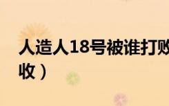 人造人18号被谁打败（人造人18号被沙鲁吸收）