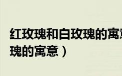 红玫瑰和白玫瑰的寓意是什么（红玫瑰和白玫瑰的寓意）