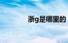 浙g是哪里的（浙g是哪里）