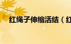 红绳子伸缩活结（红绳项链可伸缩活结）