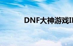 DNF大神游戏ID名（dnf大神）