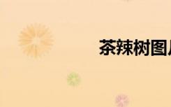 茶辣树图片（茶辣）