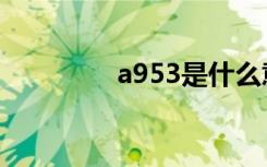 a953是什么意思（a953）