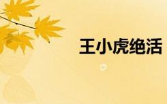 王小虎绝活（yy王小虎）