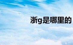 浙g是哪里的（浙g是哪里）