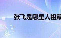 张飞是哪里人祖籍（张飞是哪里人）
