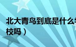 北大青鸟到底是什么学校（北大青鸟是正规学校吗）