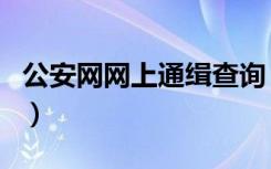 公安网网上通缉查询（公安网通缉犯名单查询）