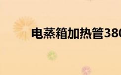电蒸箱加热管380v接法（电蒸箱）