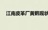 江南皮革厂黄鹤现状（江南皮革厂黄鹤）