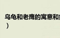 乌龟和老鹰的寓意和象征（乌龟和老鹰的寓意）