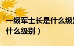 一级军士长是什么级别的军衔（一级军士长是什么级别）