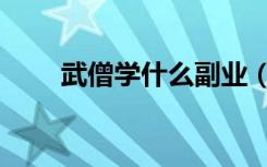 武僧学什么副业（武僧学什么专业）