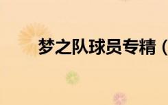 梦之队球员专精（梦之队神秘球员）