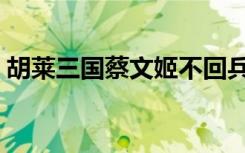 胡莱三国蔡文姬不回兵了（胡莱三国蔡文姬）