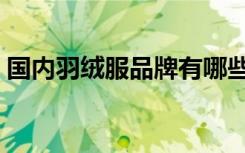 国内羽绒服品牌有哪些（羽绒服品牌有哪些）
