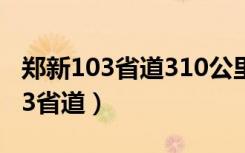 郑新103省道310公里处在什么地方（郑新103省道）