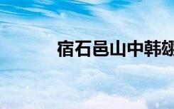 宿石邑山中韩翃（宿石邑山中）